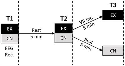 Virtual Reality for Anxiety Reduction Demonstrated by Quantitative EEG: A Pilot Study